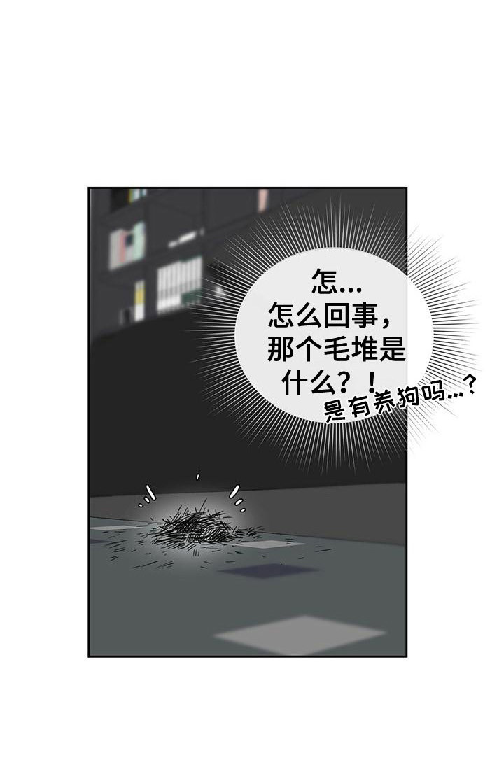17.jpg