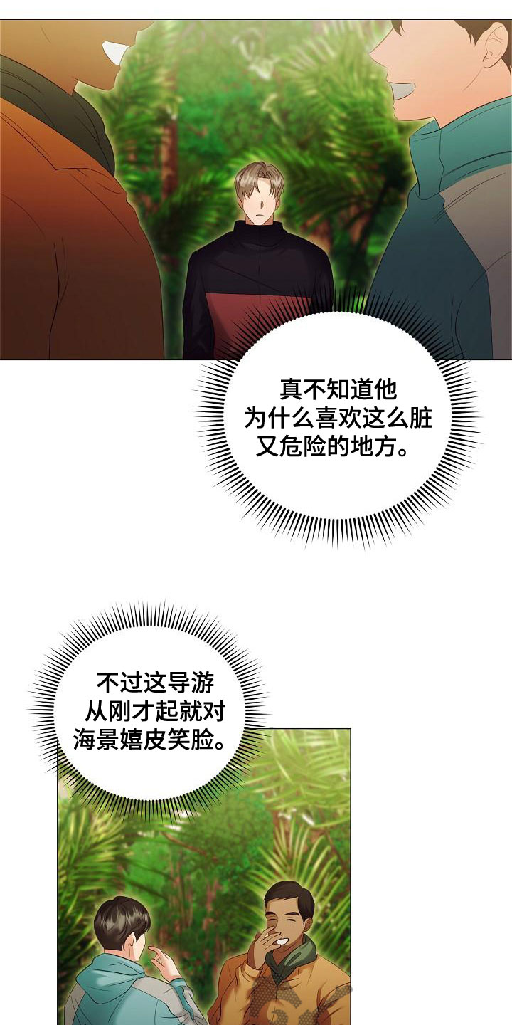 15.jpg