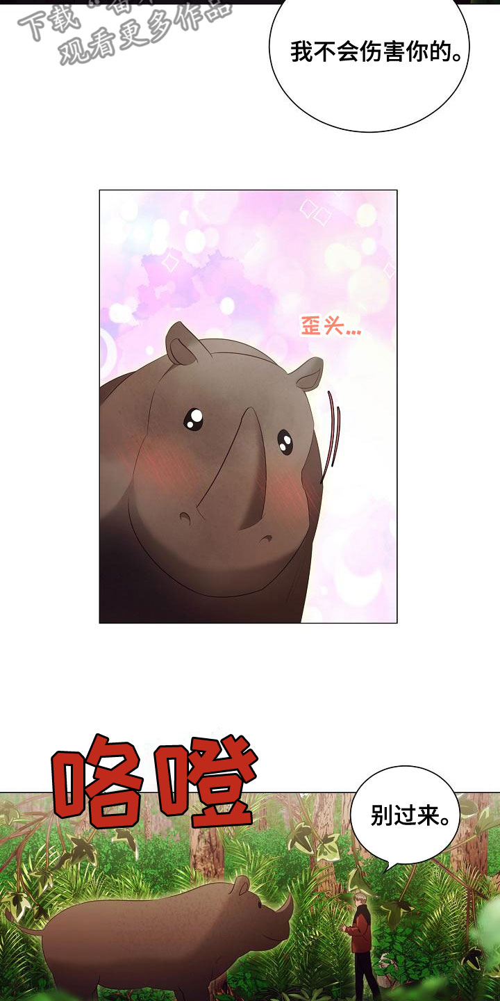 23.jpg