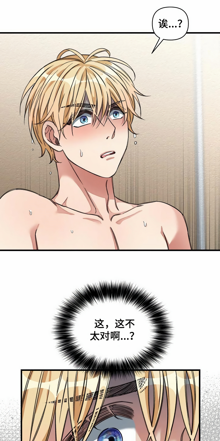 14.jpg
