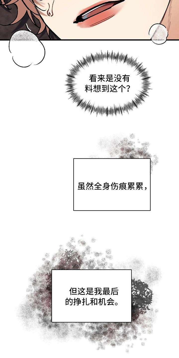 26.jpg