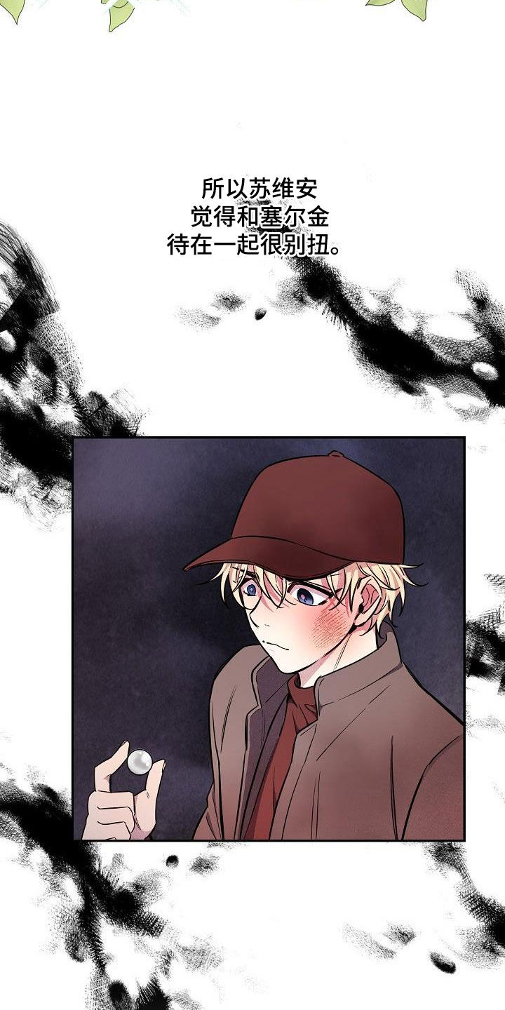 15.jpg
