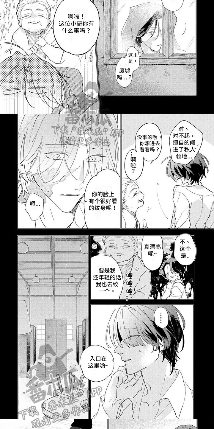 5.jpg