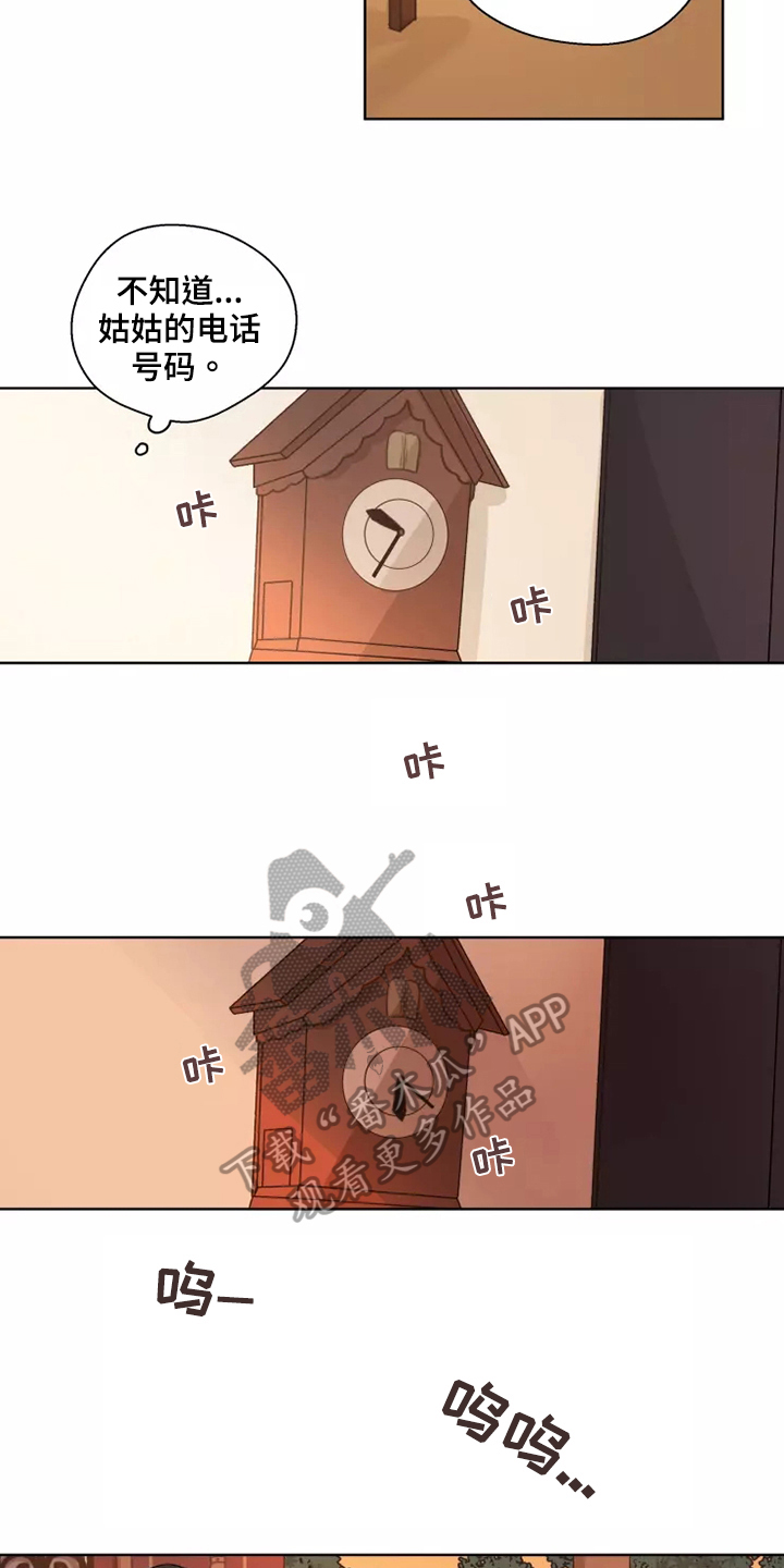 19.jpg