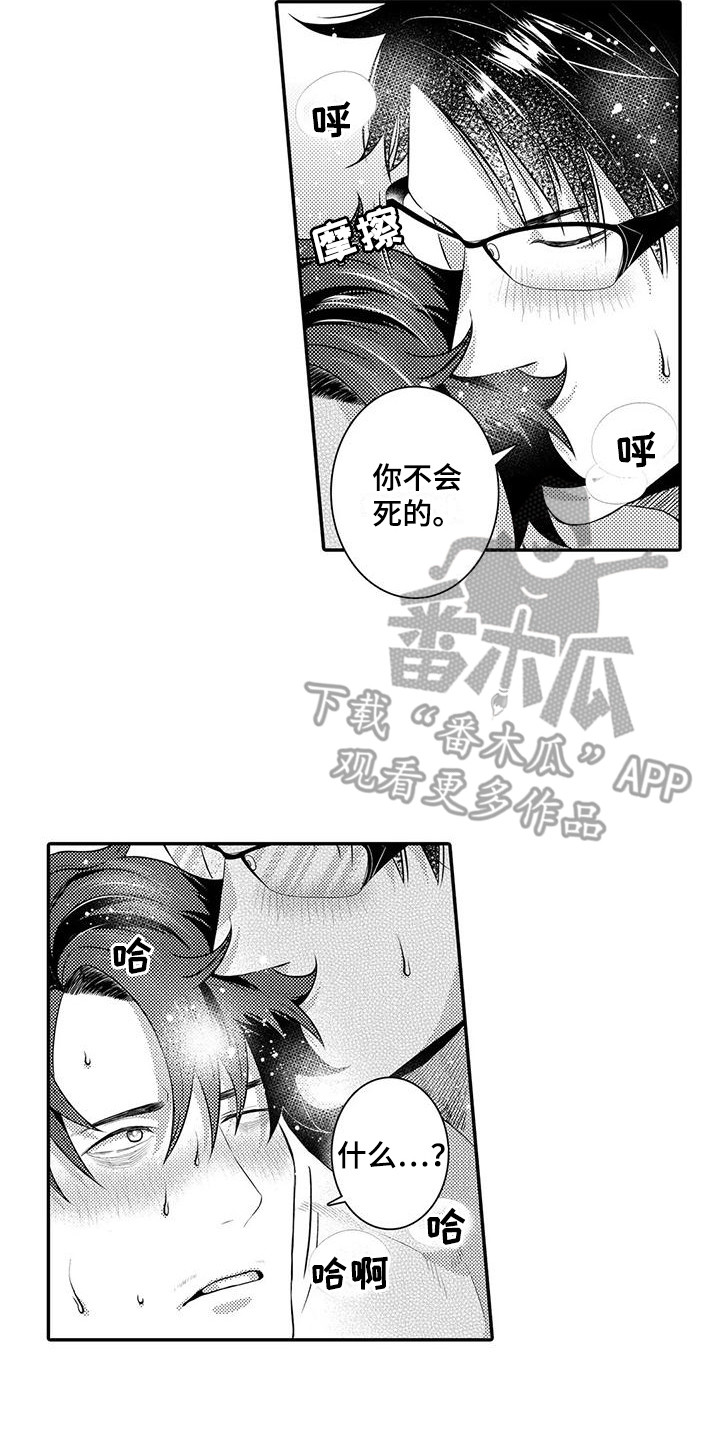 14.jpg