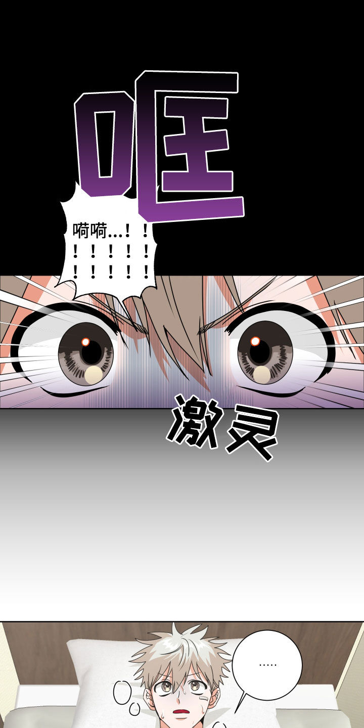 18.jpg