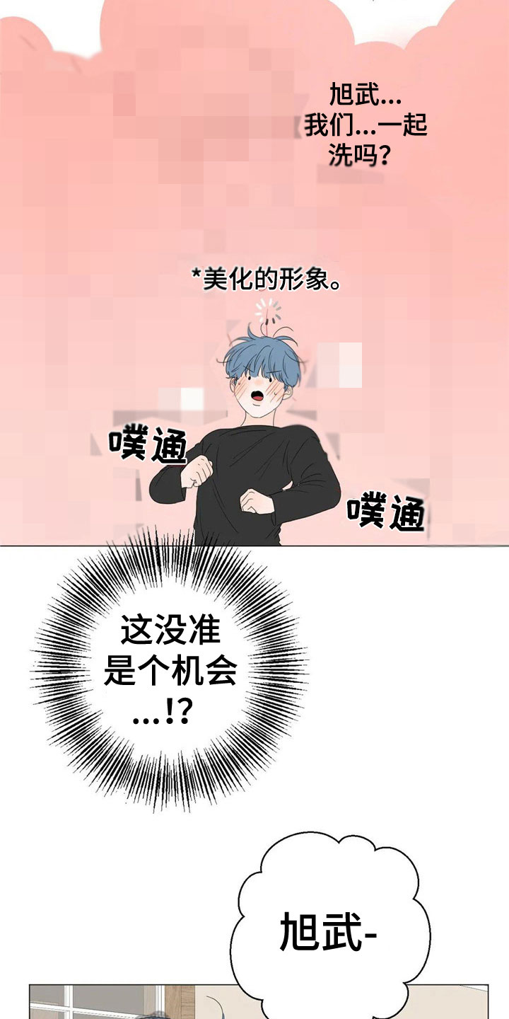 15.jpg