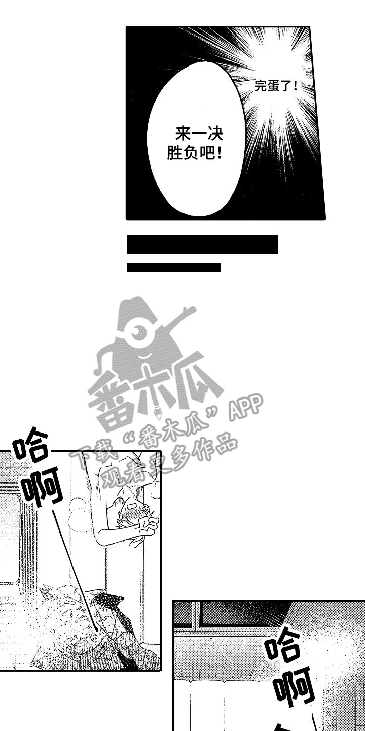 14.jpg