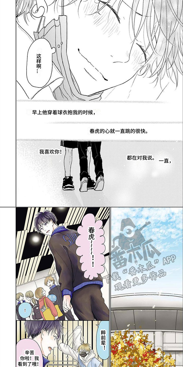 4.jpg