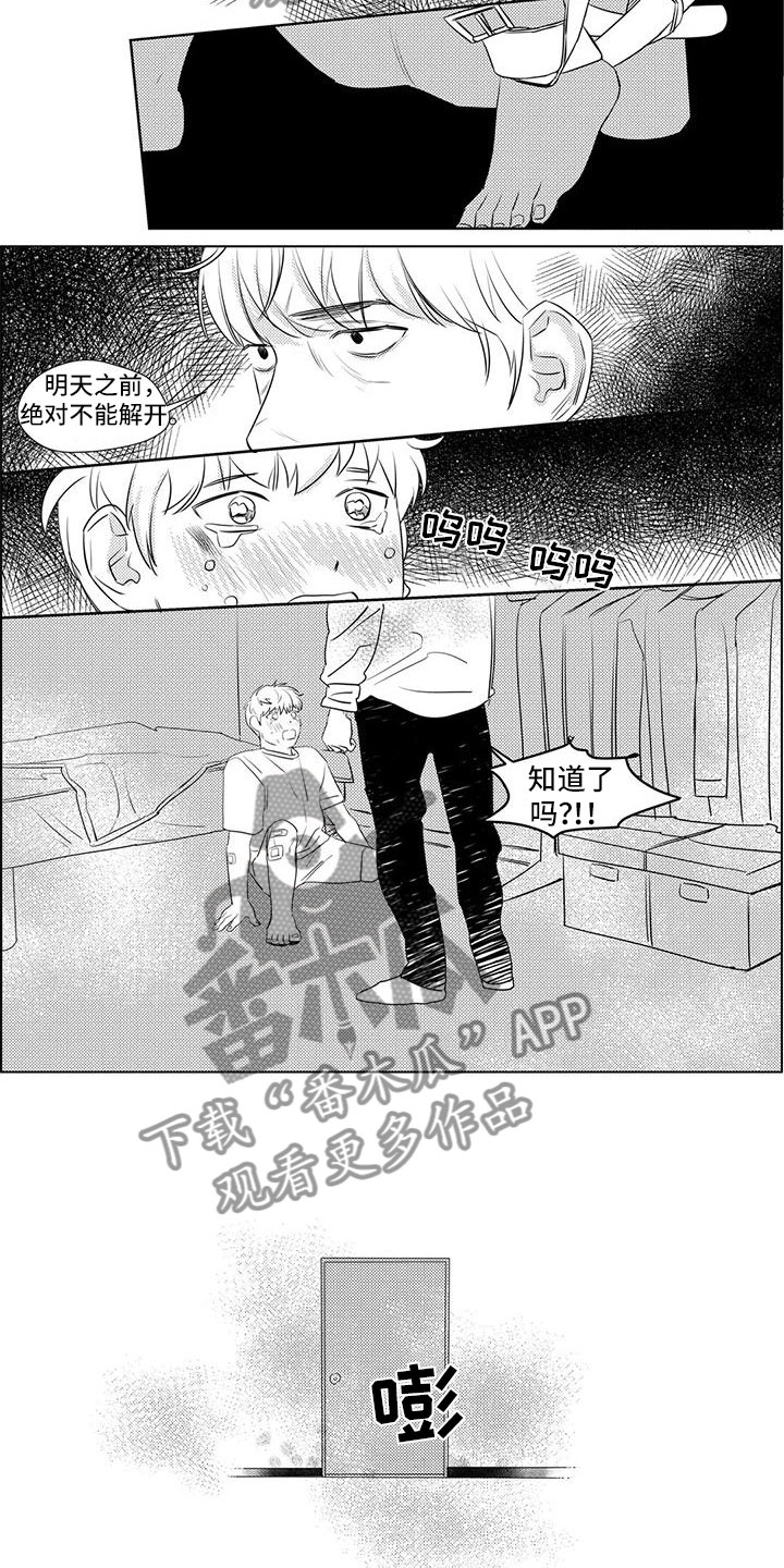 4.jpg
