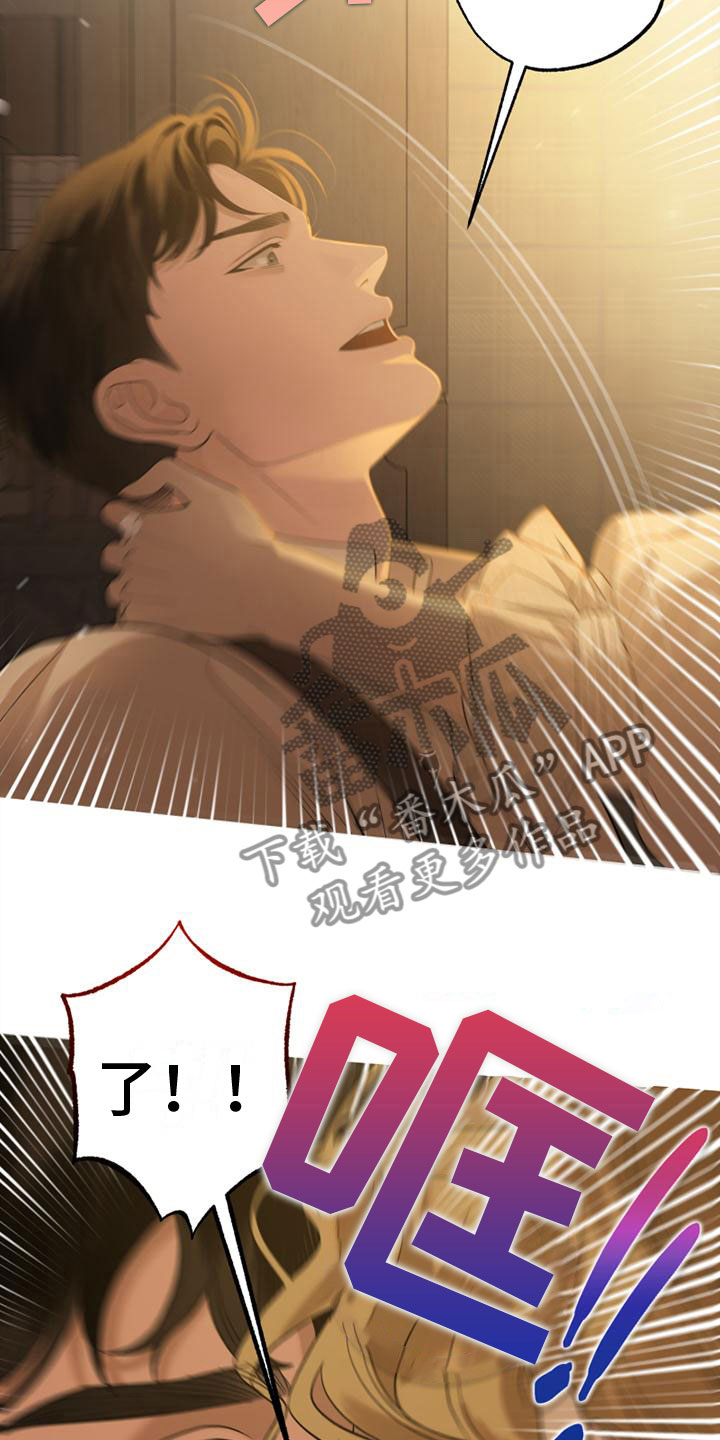 25.jpg