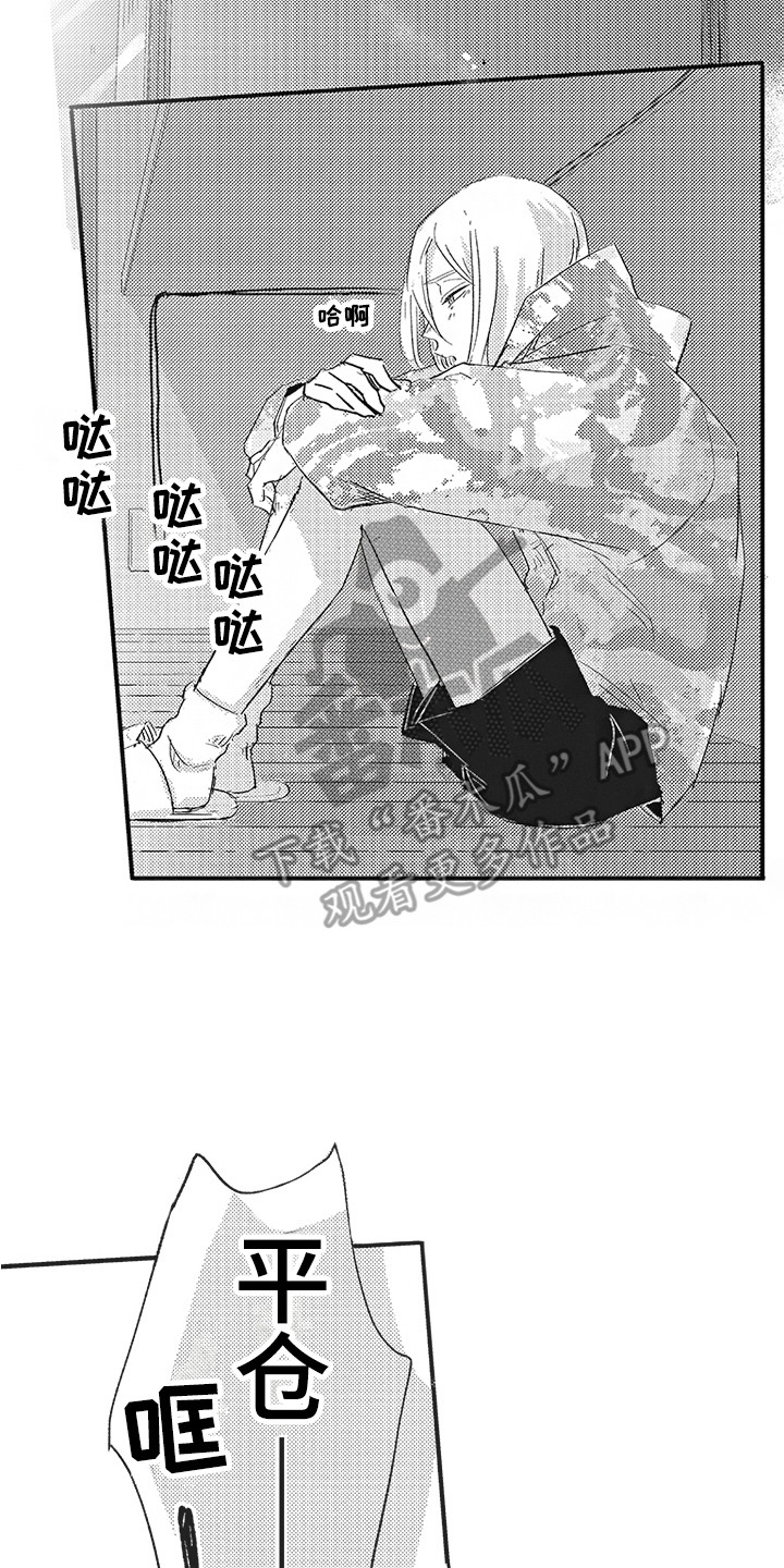 14.jpg
