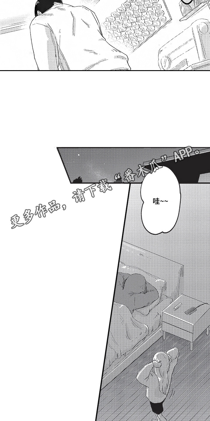 11.jpg