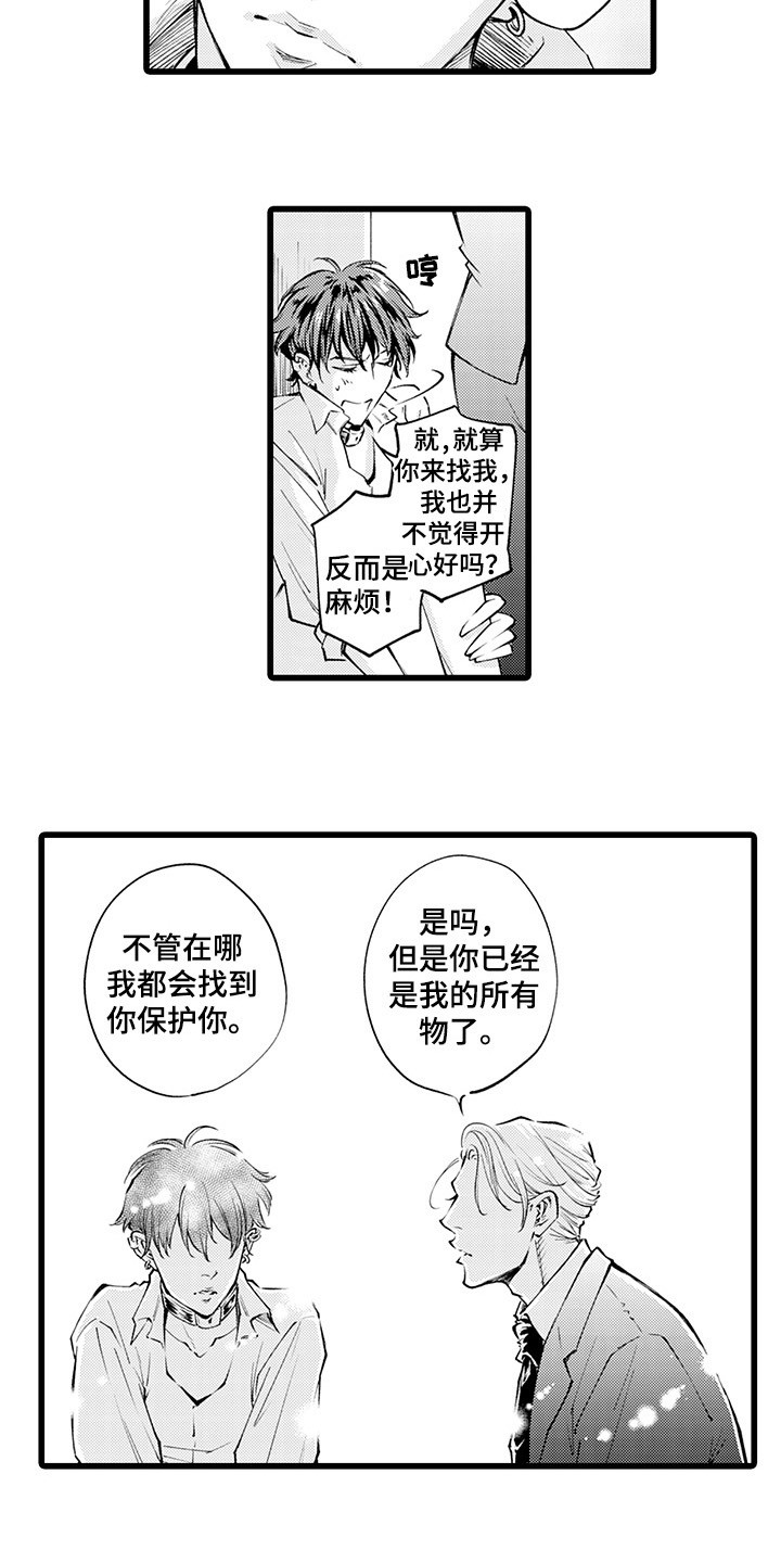 13.jpg