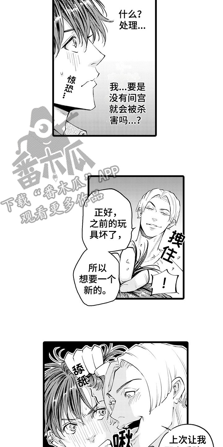 12.jpg