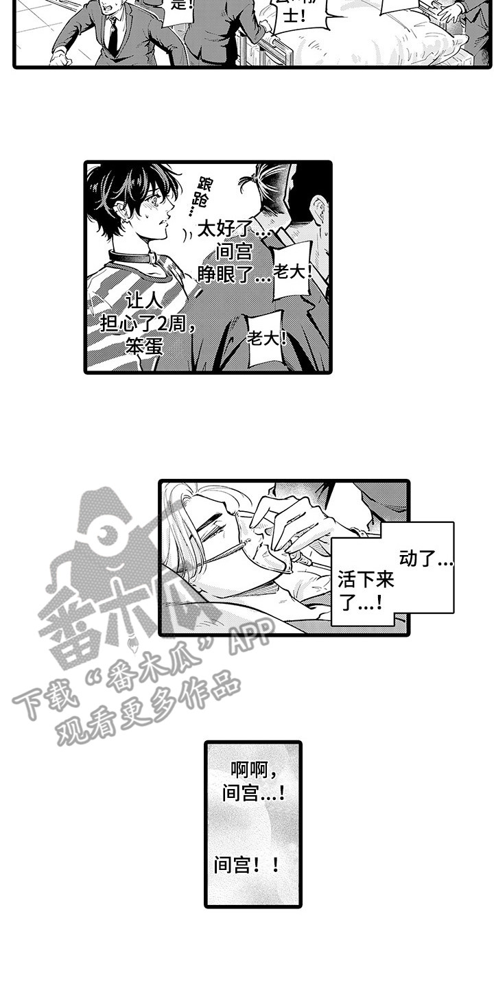 2.jpg