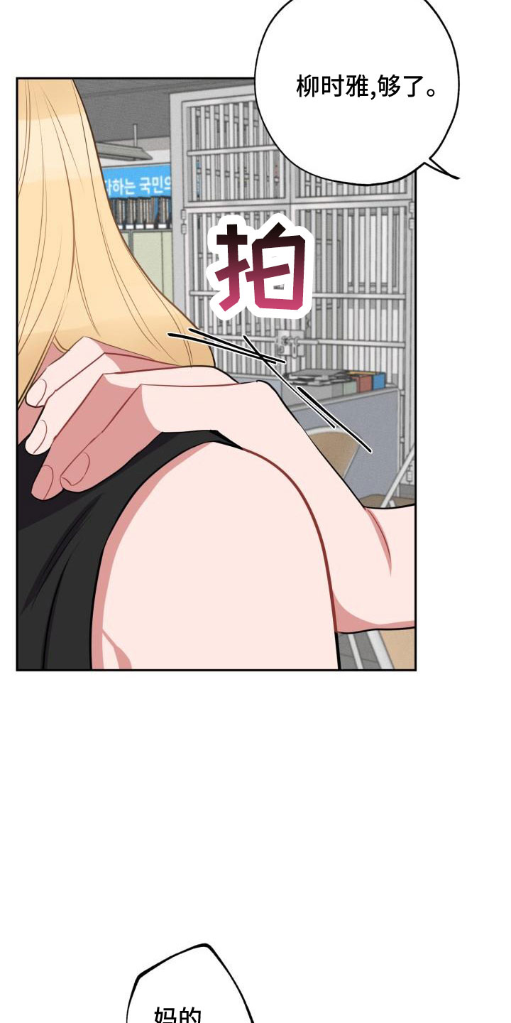 15.jpg