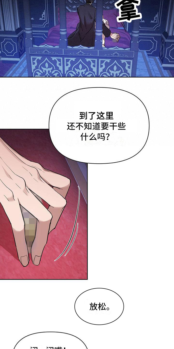 10.jpg