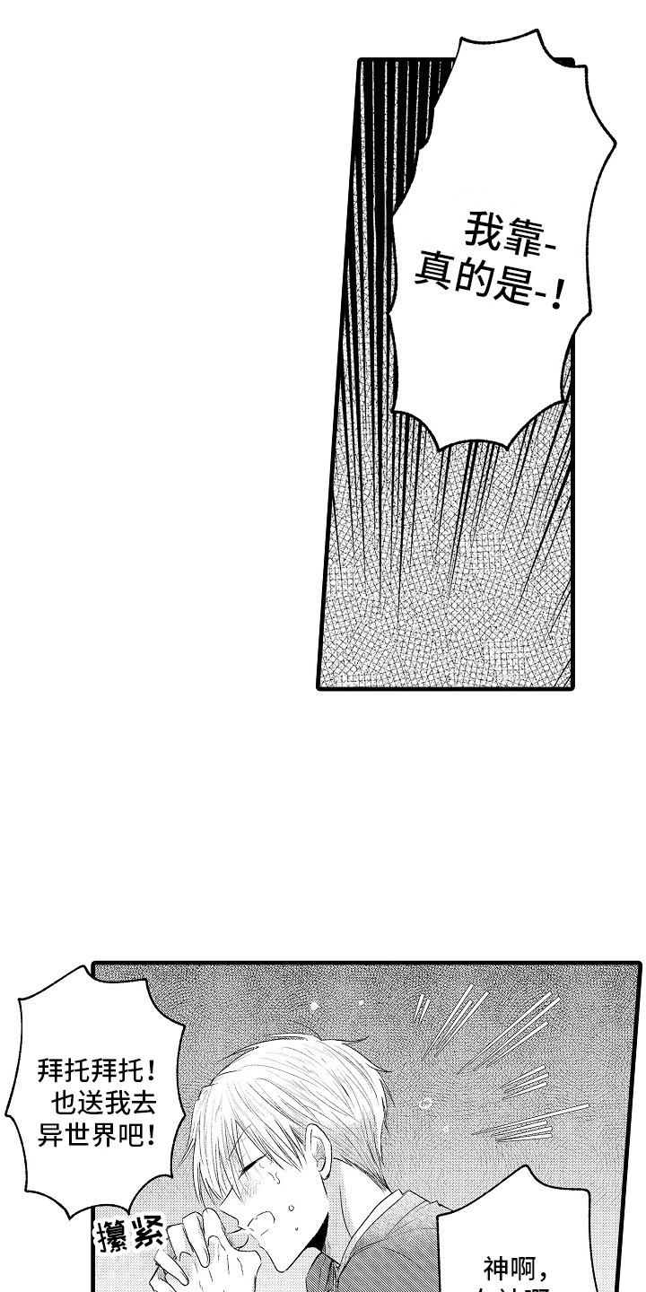 17.jpg