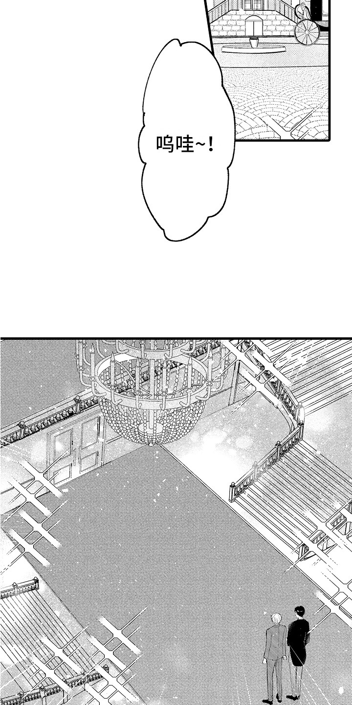 13.jpg
