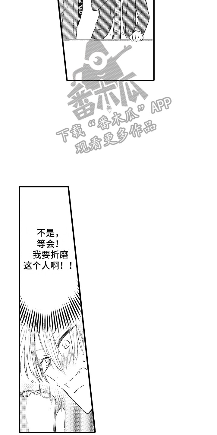 14.jpg