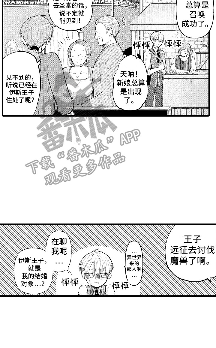 17.jpg