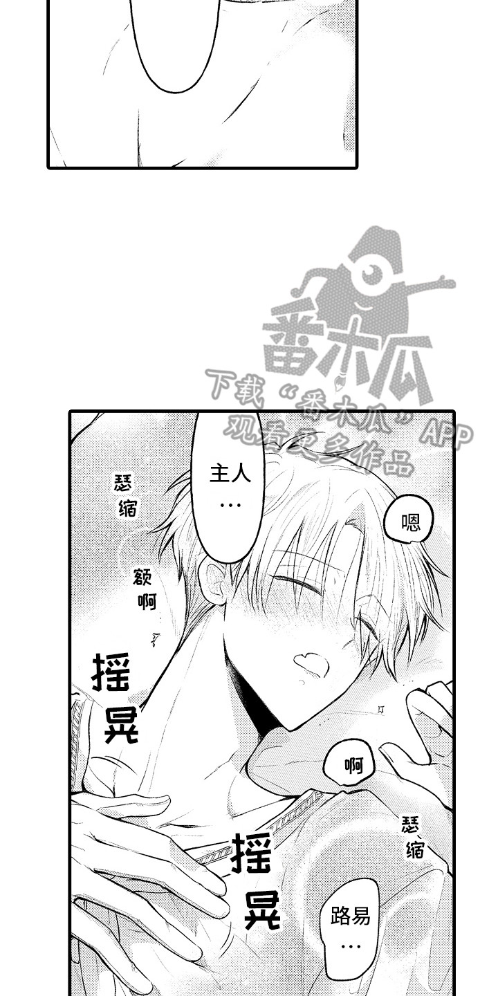 17.jpg