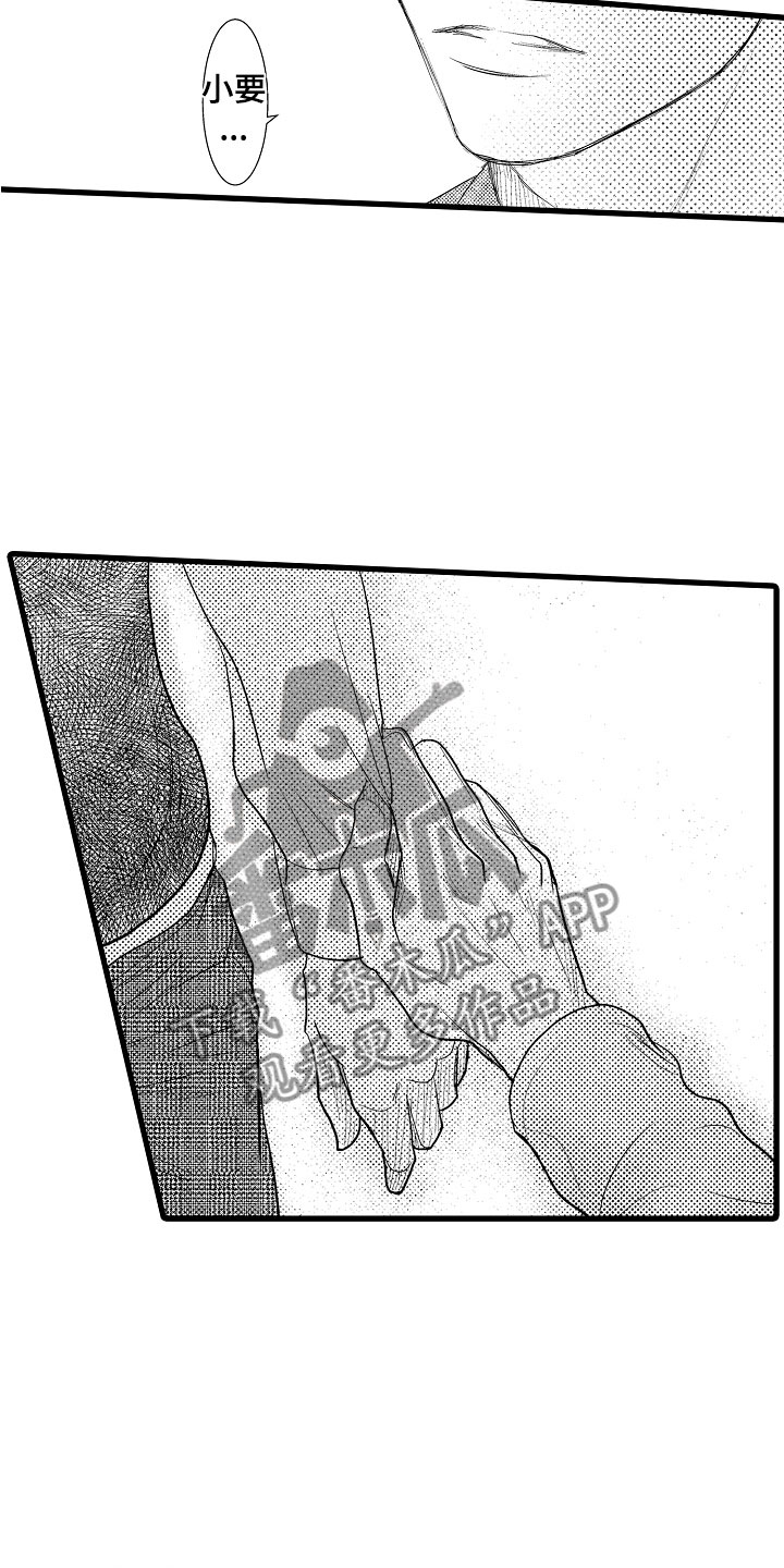 19.jpg