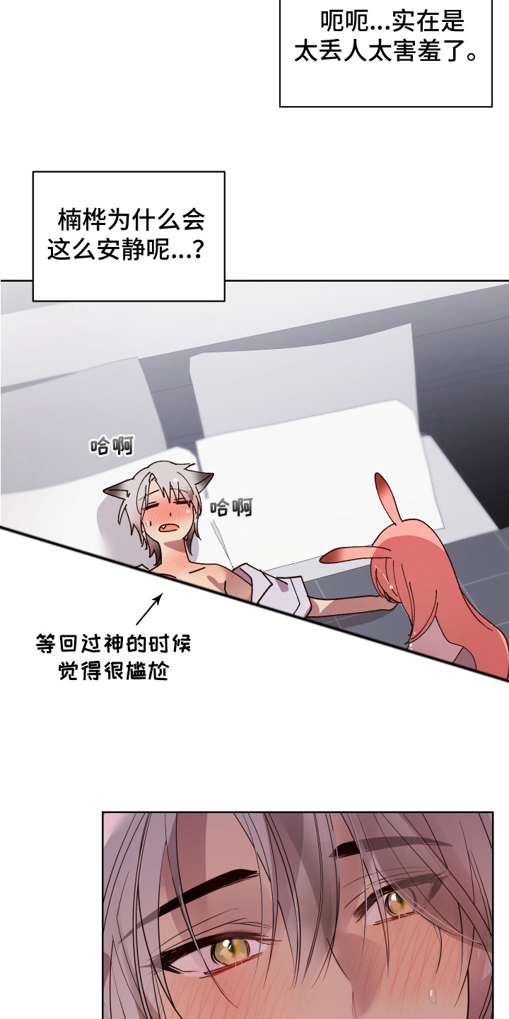 16.jpg