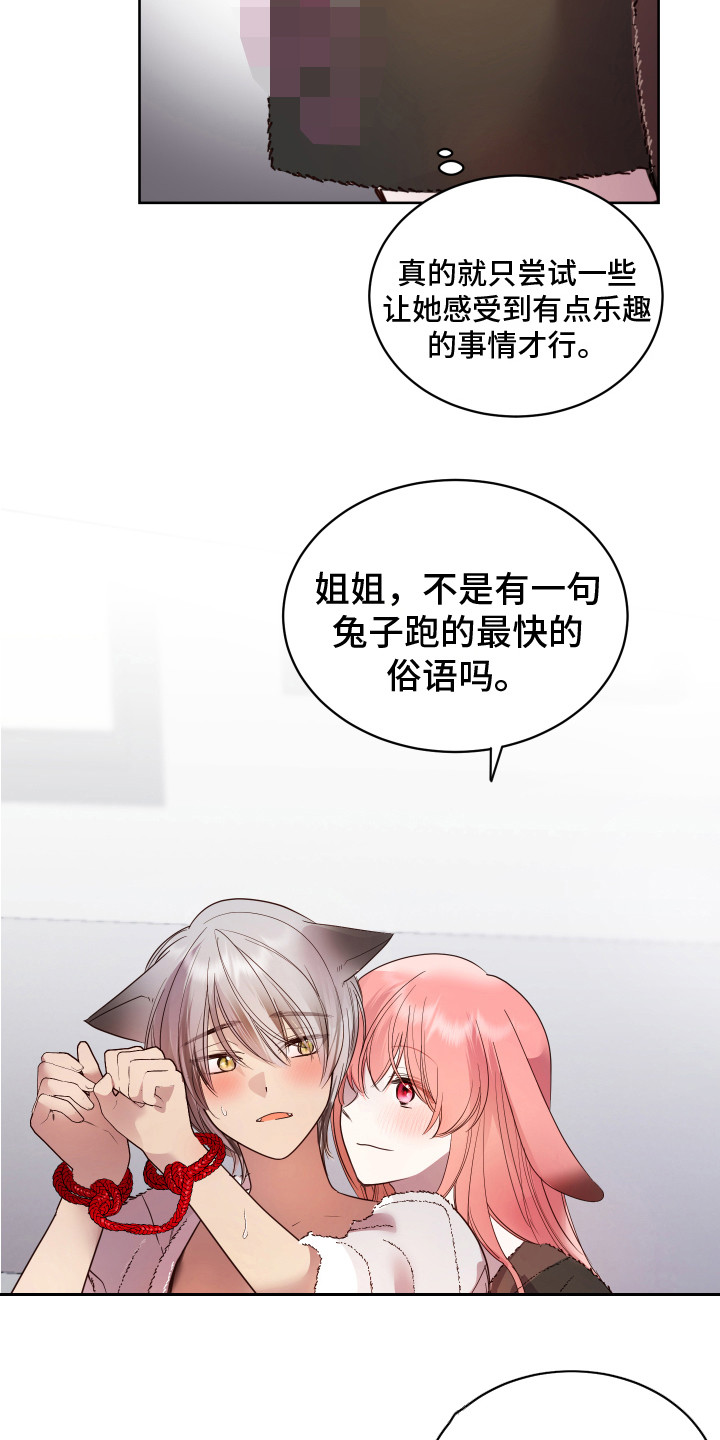 18.jpg