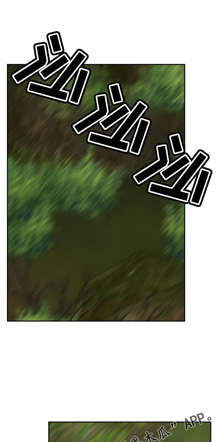 41.jpg