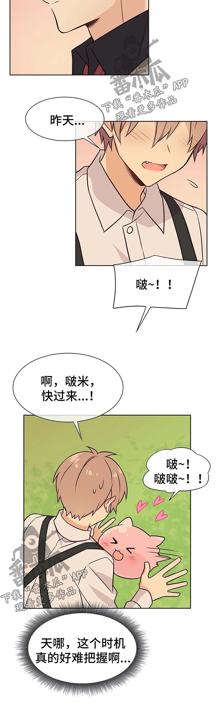 13.jpg