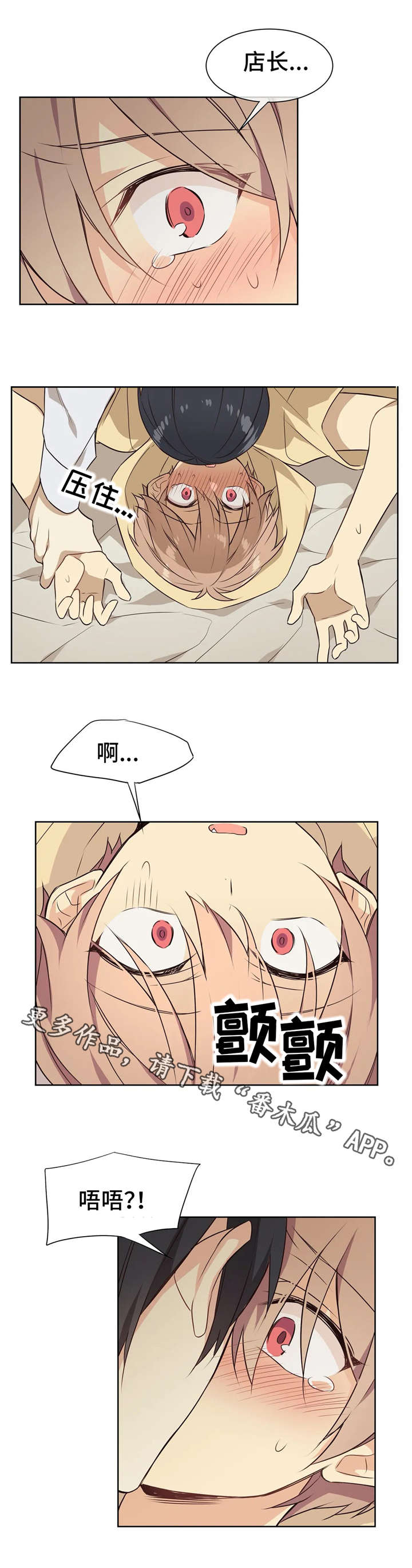 6.jpg