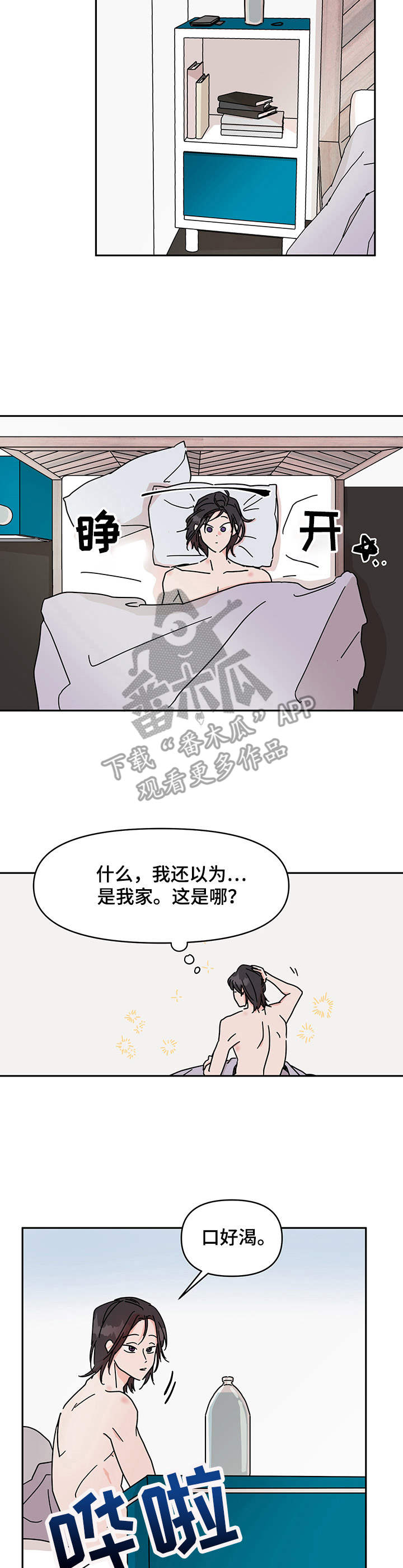 9.jpg