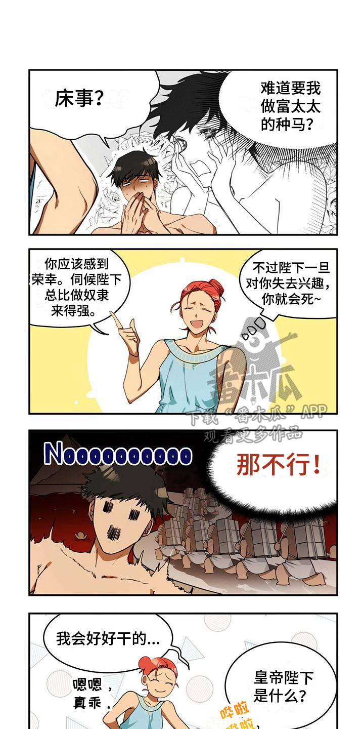 1.jpg
