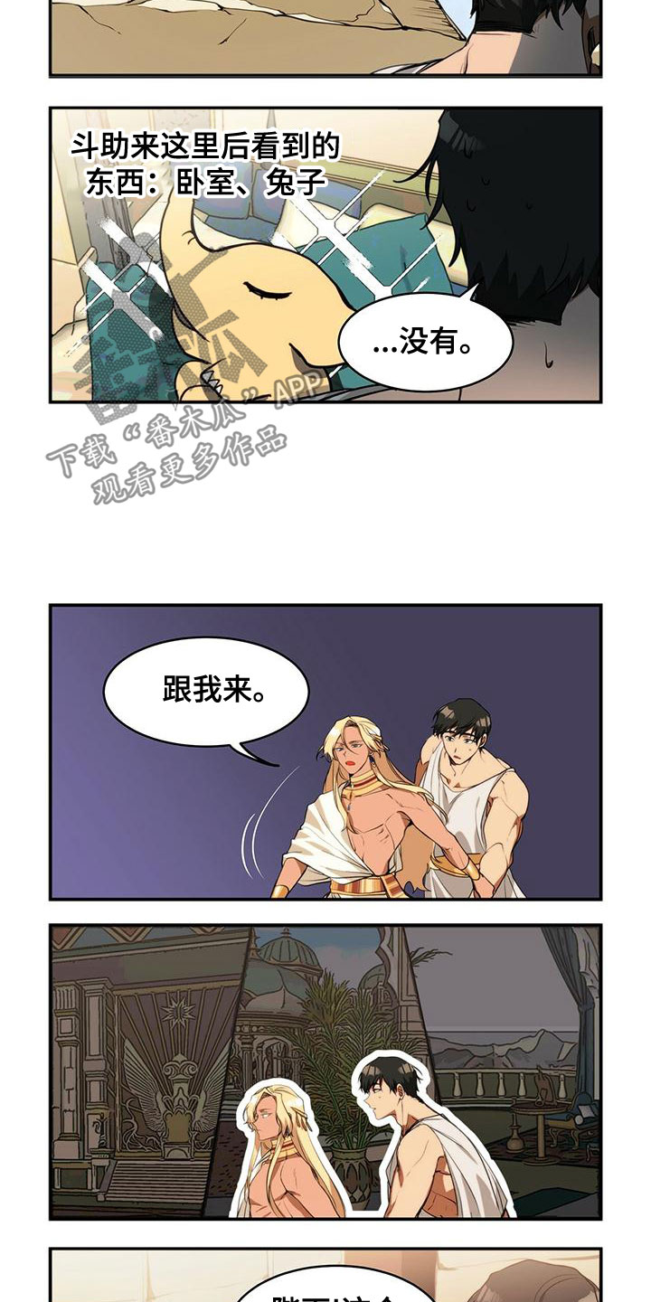 5.jpg