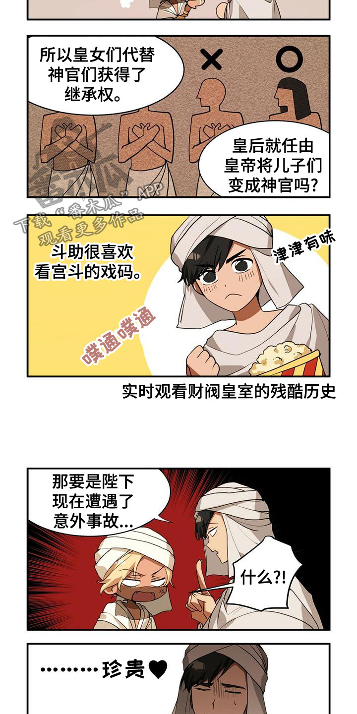 6.jpg