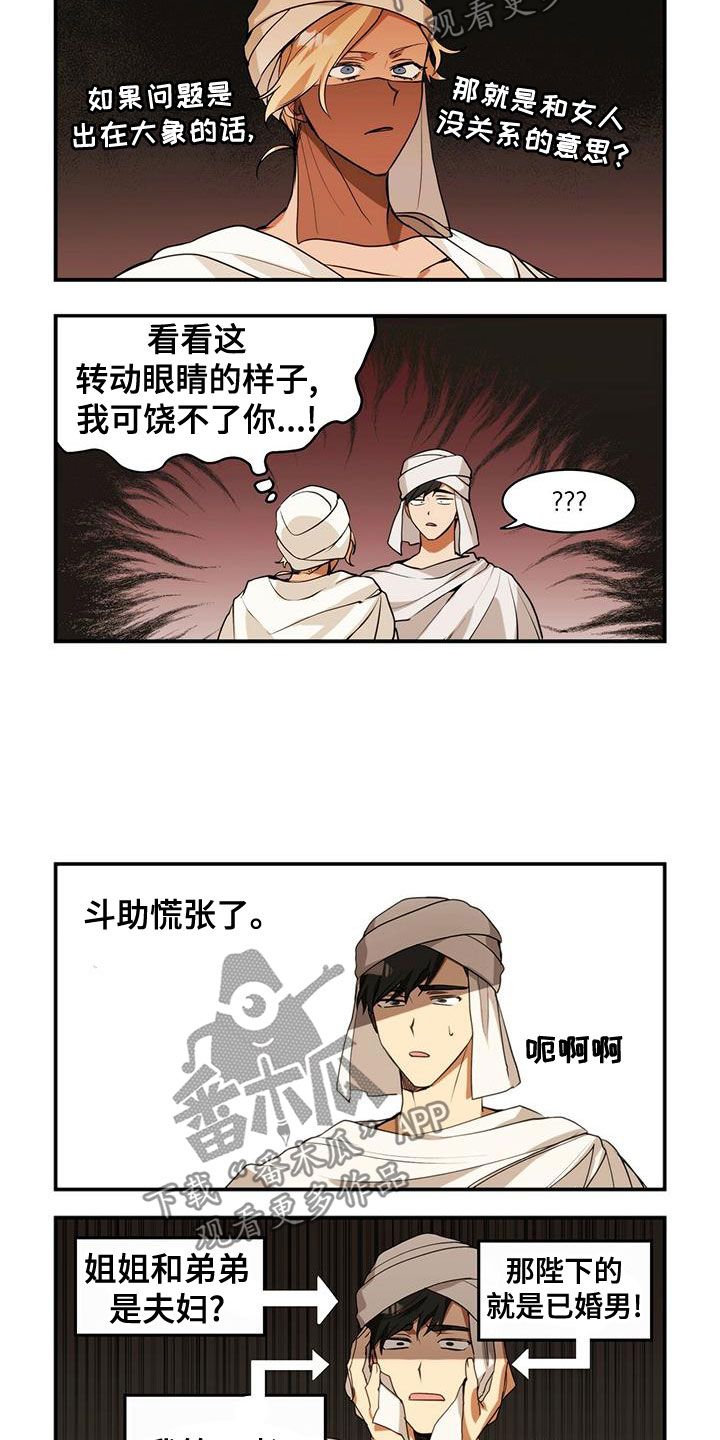5.jpg