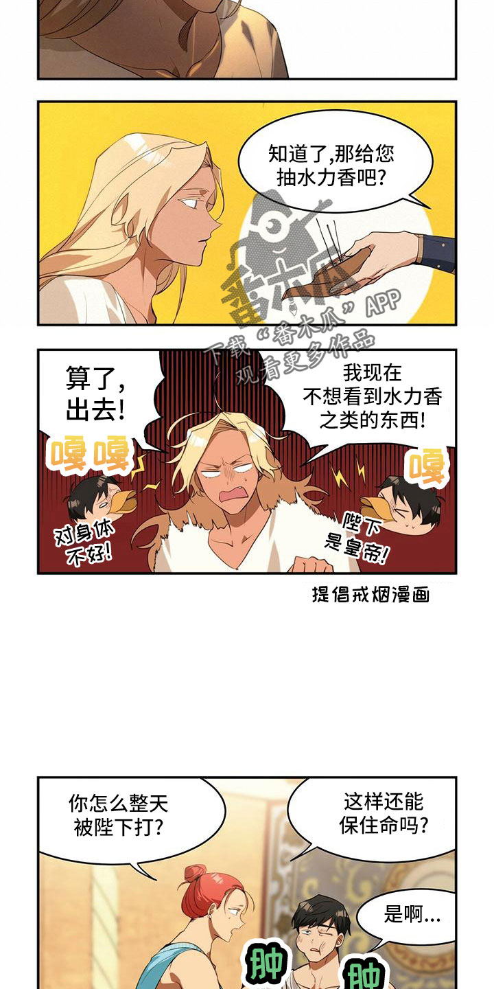 5.jpg