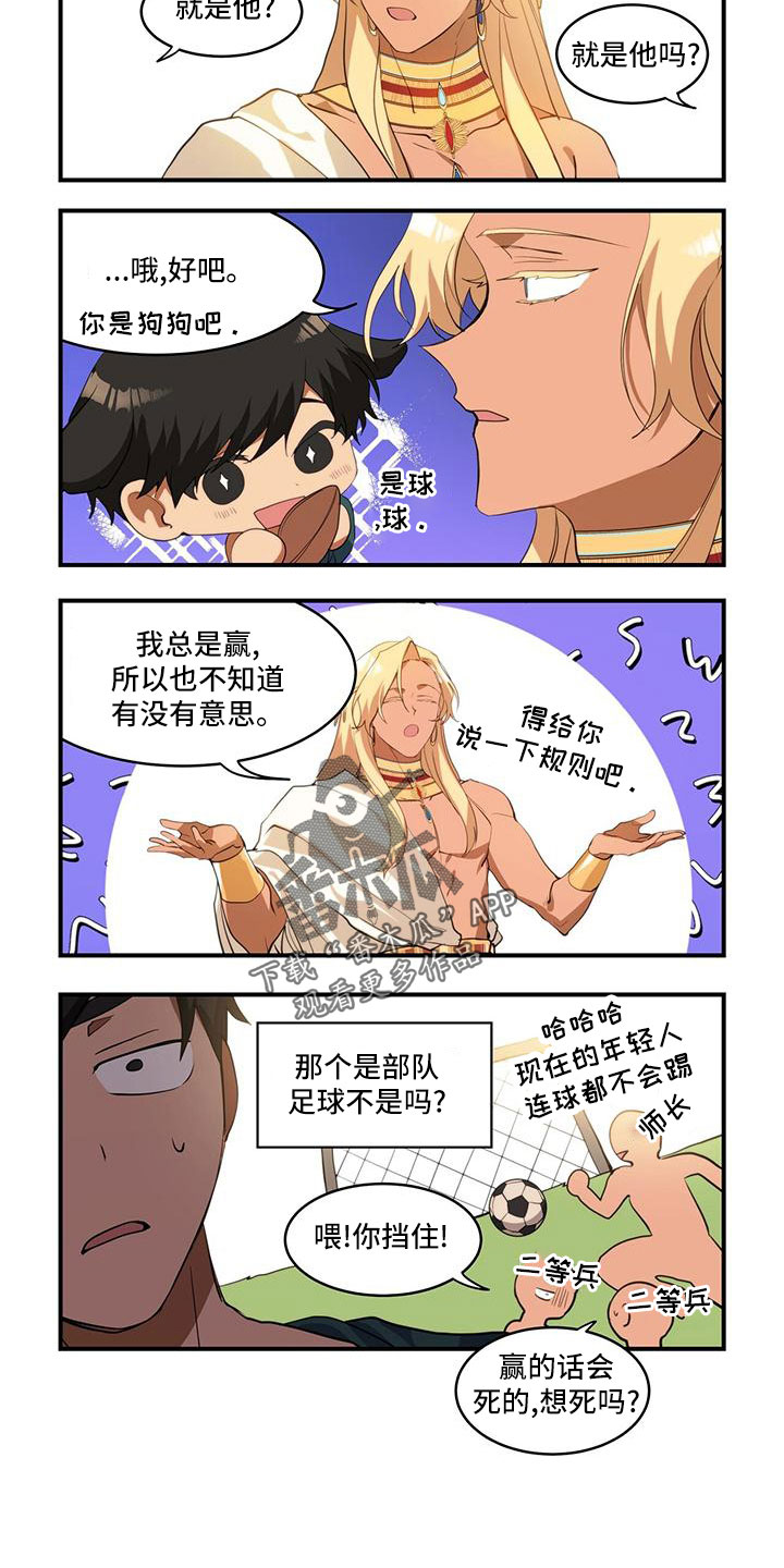 8.jpg