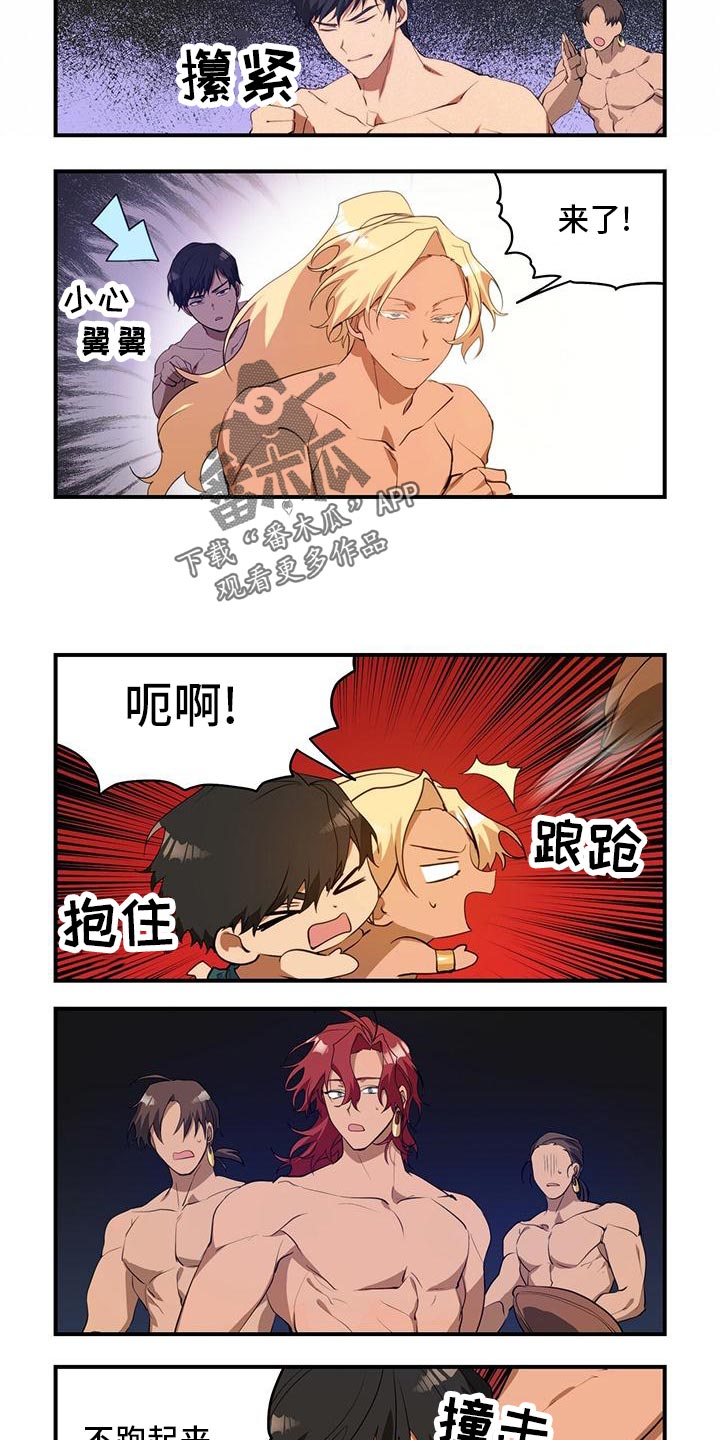 5.jpg