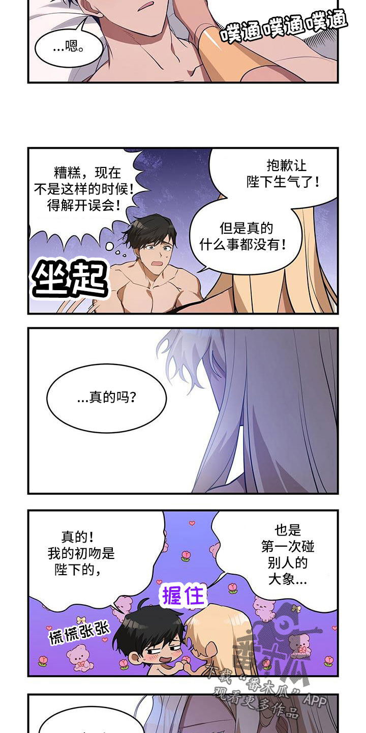 5.jpg