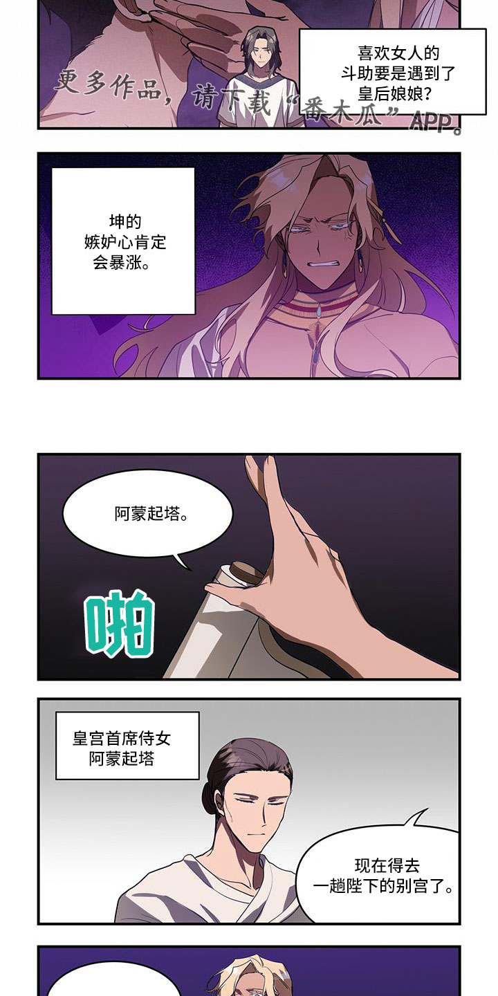 5.jpg