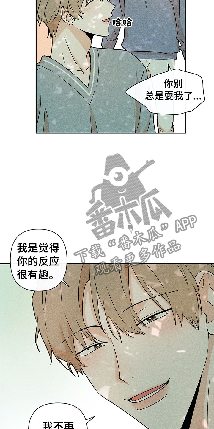 15.jpg
