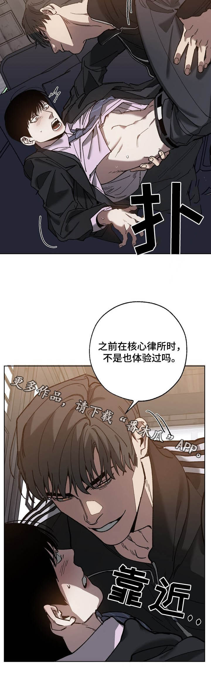 8.jpg