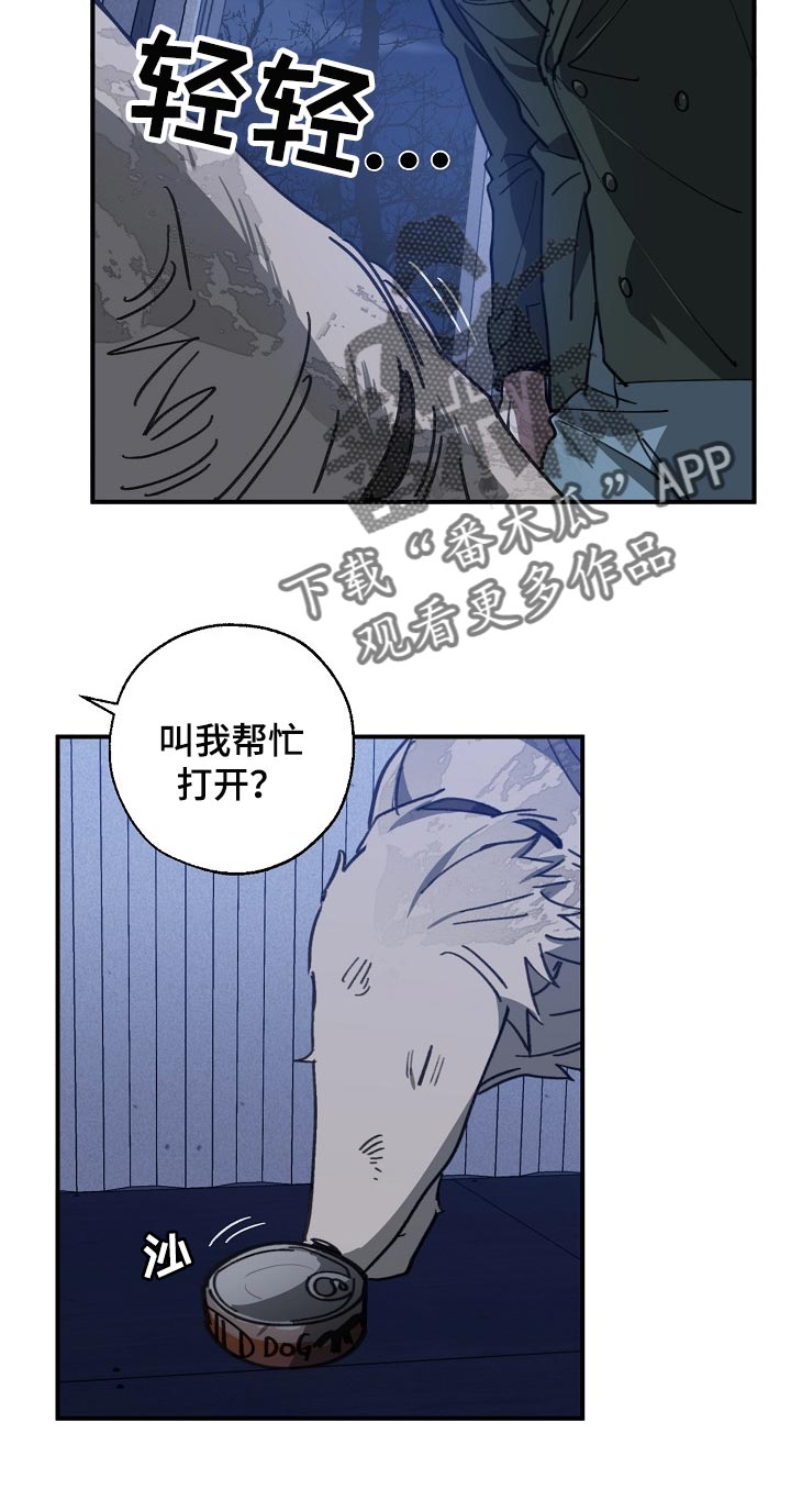 21.jpg