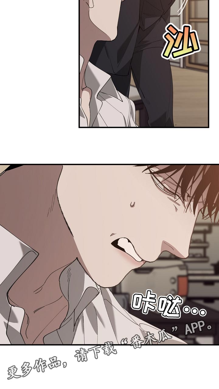 26.jpg