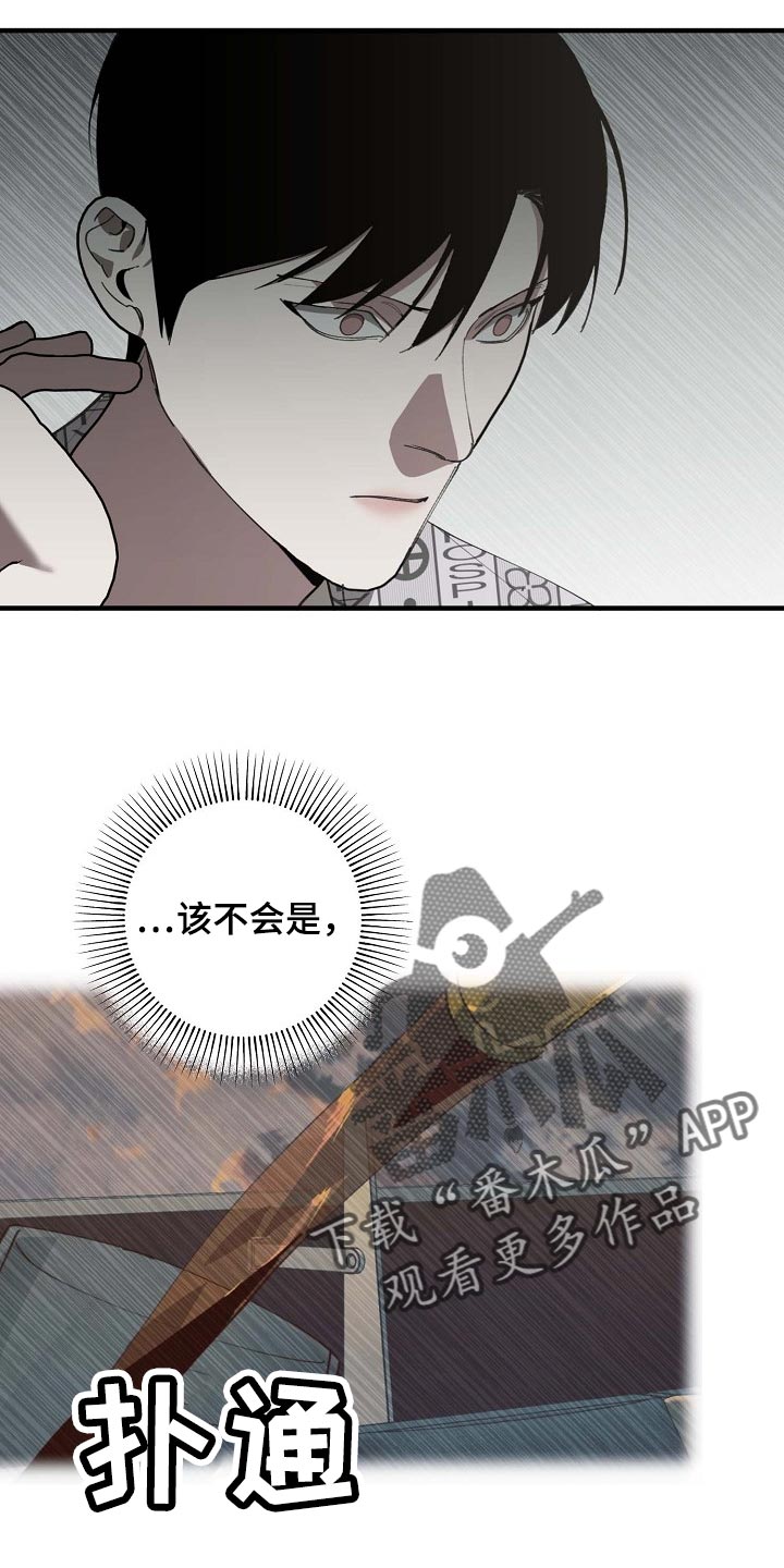 28.jpg