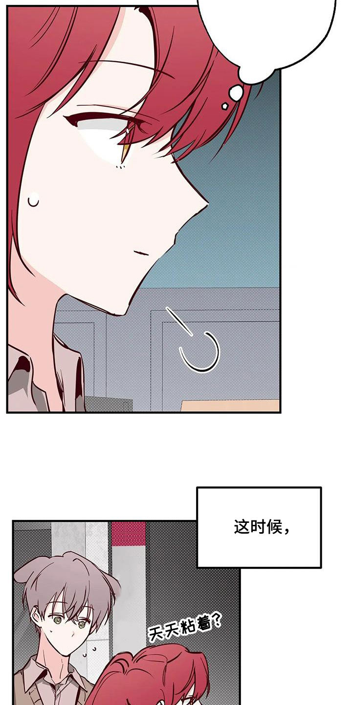 18.jpg