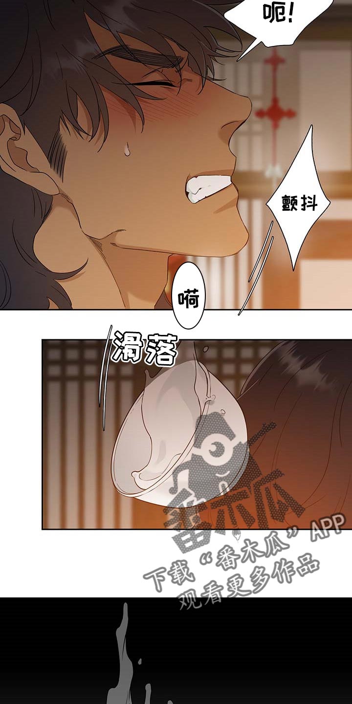15.jpg